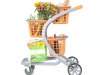 5R4A3460AdvanceCarts2018