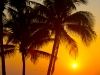 7Q7A0261DeerfieldBeach2014B