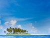 E54A1841BurgerWorldIsland