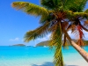 E54A4756St.JohnPalmBeachB